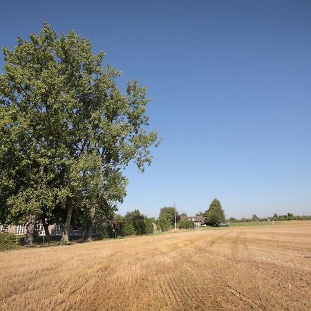 B&B Het Rooj Holsbeek Экстерьер фото