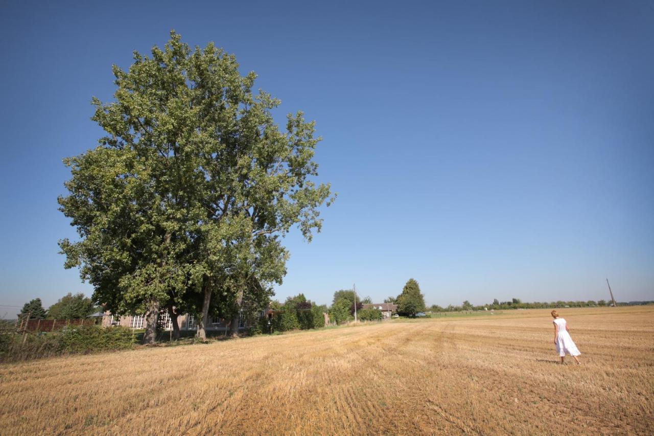 B&B Het Rooj Holsbeek Экстерьер фото